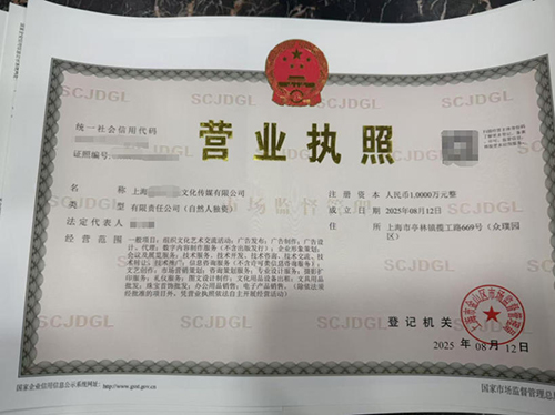 如何辦理上海金山區(qū)注冊一個(gè)文化傳媒有限公司