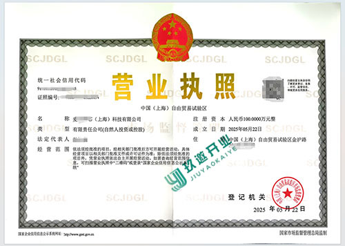 如何在上海設(shè)立外資全資子公司