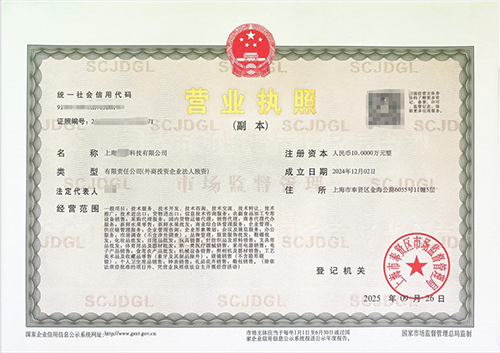 上海注冊(cè)公司如何選擇公司類型?創(chuàng)業(yè)者必讀指南